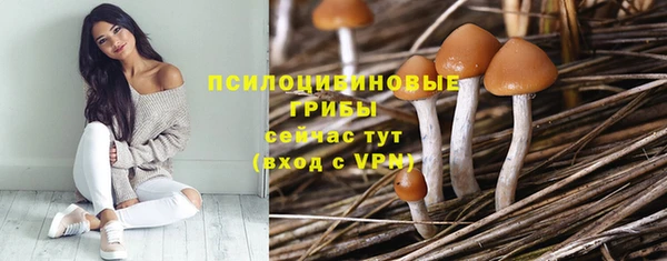 гидропоника Алзамай