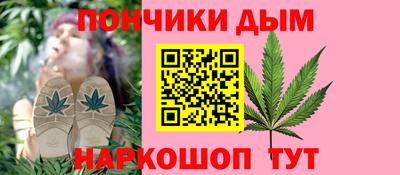 индика Заволжье