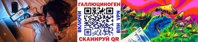 где купить наркоту  Сосновоборск  Псилоцибиновые грибы Psilocybine cubensis 